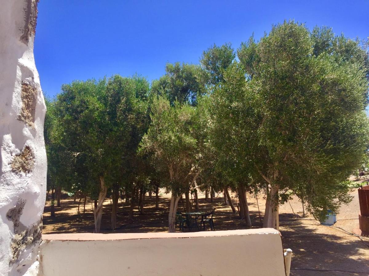 Bungalow Alma #Only Adults El Charco  Екстериор снимка