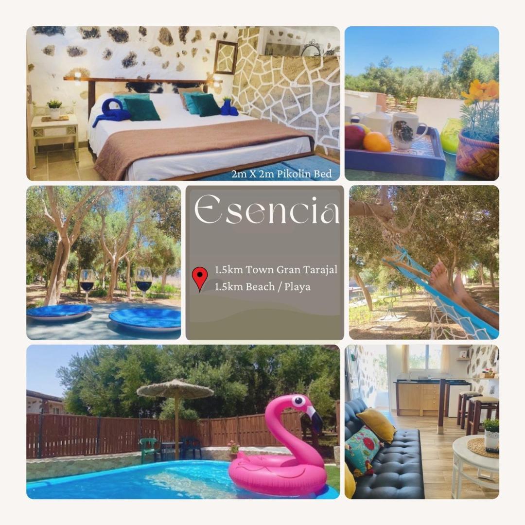 Bungalow Alma #Only Adults El Charco  Екстериор снимка